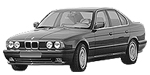 BMW E34 C1961 Fault Code